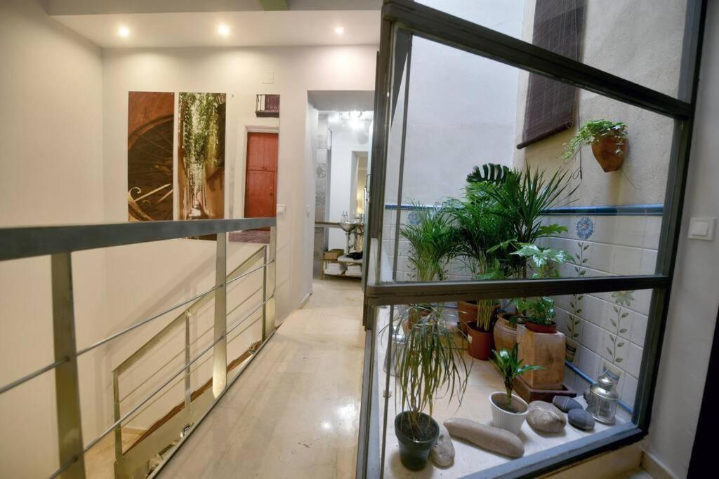 Alegria Sevilla Urban מראה חיצוני תמונה